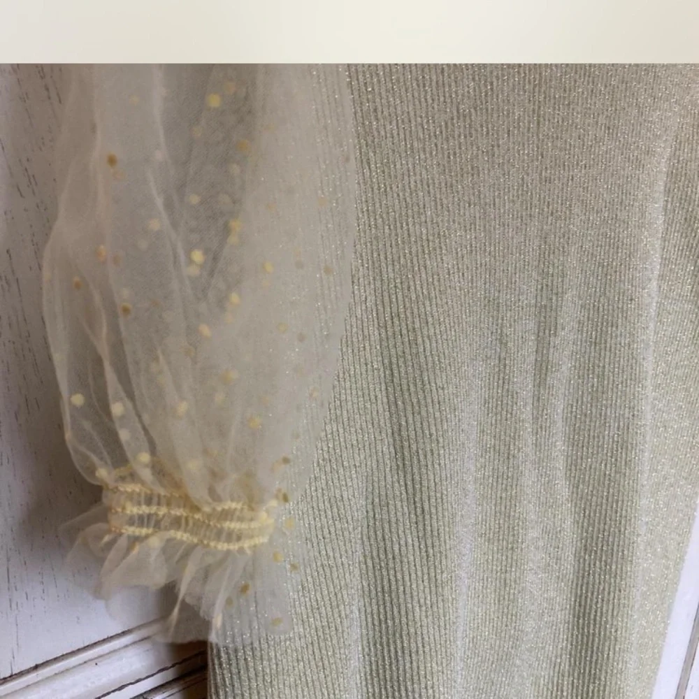 Zara shimmer top with sheer polka dot puffy sleeves size 8